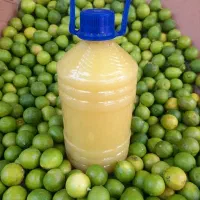 آبلیمو آبغوره و سبزیجات خشک
