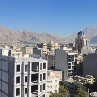 برقکار. برقکشی ،هالوژن ریسه