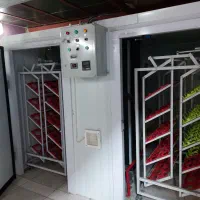 پکیج کامل جوجه کشی شترمرغ|لوازم جانبی حیوانات|کاشان, نوش آباد|دیوار