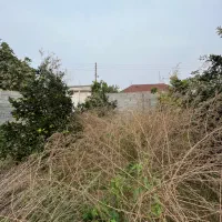 فروش زمین مسکونی ۲۶۰ متری با پروانه ساخت/سندتک برگ|فروش زمین و ملک کلنگی|کیاکلا, |دیوار