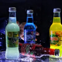 دلستر با قیمت مناسب