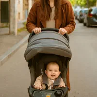 کالسکه نو دلیجان راحت، شیک، اقتصادی