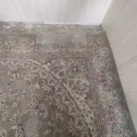 گلیم و قالی|فرش|گنبد کاووس, |دیوار