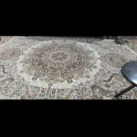 قالی نگین مشهد ۱۲ متری