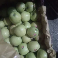 سیب قرمز  و سفید