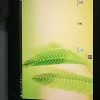 لب تاب HP prox2|رایانه همراه|جیرفت, |دیوار