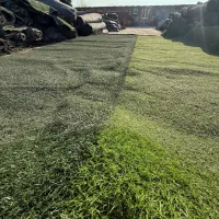 پخش چمن مصنوعی و فنس برگ ریحون ( کارکرده و نو )|مصالح و تجهیزات ساختمان|تهران, جوانمردان (اندیشه)|دیوار