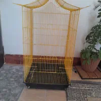 قفس بزرگ سالم