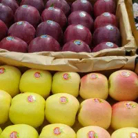 جذب سرمایه جهت خرید و فروش میوه و تره بار