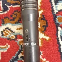 میکرو‌فن PG81