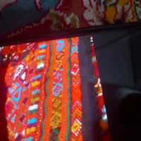 کریشی سرتوپ