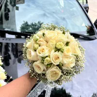 جشنواره تخفیف ویژه ماشین و دسته گل عروس|گل و گیاه طبیعی|مشهد, امیر|دیوار