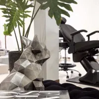 صندلی برقی دو موتوره سالم ، به همراه صندلی چرخشی|آرایشگاه و سالن‌های زیبایی|کرمان, |دیوار