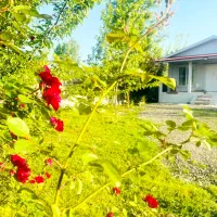 ویلایی دو خواب دربست  سویت آپارتمان کلبه