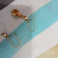 یک عدد گوشواره گم شده