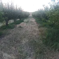 فروشباغ|فروش زمین و ملک کلنگی|تیکمه داش, |دیوار