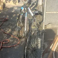 دوچرخه|دوچرخه، اسکیت، اسکوتر|میناب, |دیوار