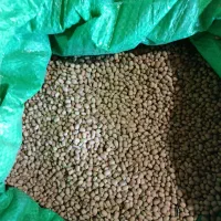 لوبیا|عمدهفروشی|بدره, |دیوار