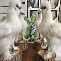 مجسمه دکوری مرغ ابریشمی طبیعی