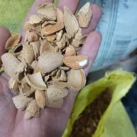 پوست بادام