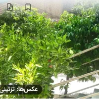 فروش-فوری-منزل-ویلایی