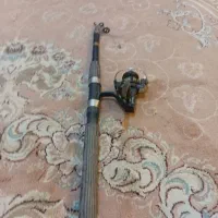 لنسر ماهی گیری