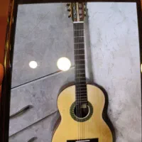 گیتار سولیست|گیتار، بیس، امپلیفایر|قم, انسجام|دیوار