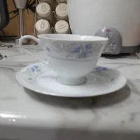 سرویس چینی و سماور|ظروف سرو و پذیرایی|اسلام‌شهر, مطهری|دیوار