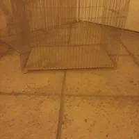 قفس پرنده کاملا سالم