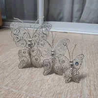 پروانه‌ آب نقره