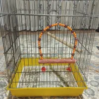 قفس کاسکویی