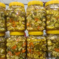 ترشی خانگی عمده