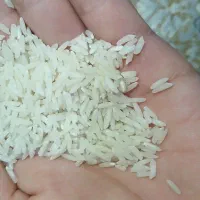 برنج صدری