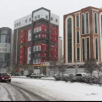 اجاره خدماتی یحیوی