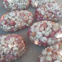 پیازسفیدوقرمزولایتی.|خوردنی و آشامیدنی|زاوه, |دیوار