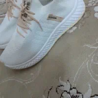 کفش اسپرت|کیف، کفش، کمربند|شهریار, شهریار|دیوار