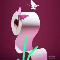 پخش دستمال کاغذی