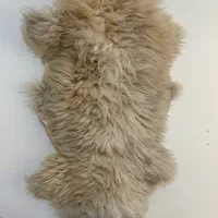 پوست گوسفند دباغی شده