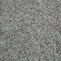 فروش ۳۰۰ کیلو مغز پسته کالک با کیفیت