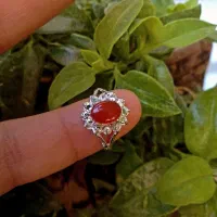 انگشتر زنانه رنگ ثابت با نگین سنگ قیمتی عقیق|بدلیجات|شیراز, سینما سعدی|دیوار