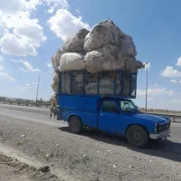راننده واسه نیسان