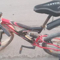 دوچرخه معاوضه با سگ عروسکی