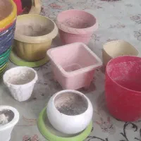 گلدان بزرگ سالم|گل و گیاه طبیعی|قرچک, داوود آباد|دیوار