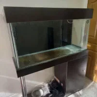 اکواریوم  به همراه میز