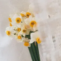 رهن و اجاره اتاق ۱۵ متری از واحد اداری فلکه گاز