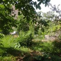 باغ در بهترین روستای توریستی مشهد