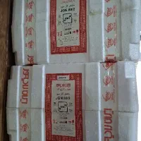 مشعل ایران رادیاتور