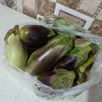 بادمجان محلی تازه