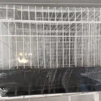 خرگوش های بسیار زیبای لوپ