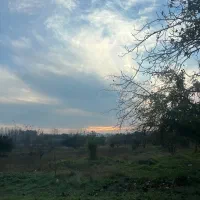 استخدام کارگر ساده